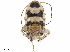  ( - BIOUG50162-H07)  @11 [ ] CreativeCommons - Attribution (2019) CBG Photography Group Centre for Biodiversity Genomics