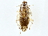  ( - BIOUG71214-C08)  @11 [ ] CreativeCommons - Attribution (2022) CBG Photography Group Centre for Biodiversity Genomics