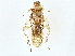  ( - BIOUG71214-C09)  @11 [ ] CreativeCommons - Attribution (2022) CBG Photography Group Centre for Biodiversity Genomics