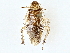  ( - BIOUG71214-C10)  @11 [ ] CreativeCommons - Attribution (2022) CBG Photography Group Centre for Biodiversity Genomics