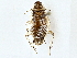  ( - BIOUG71214-C11)  @11 [ ] CreativeCommons - Attribution (2022) CBG Photography Group Centre for Biodiversity Genomics