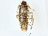  ( - BIOUG71214-C12)  @11 [ ] CreativeCommons - Attribution (2022) CBG Photography Group Centre for Biodiversity Genomics