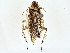  ( - BIOUG71214-D01)  @11 [ ] CreativeCommons - Attribution (2022) CBG Photography Group Centre for Biodiversity Genomics