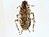  ( - BIOUG71214-D02)  @11 [ ] CreativeCommons - Attribution (2022) CBG Photography Group Centre for Biodiversity Genomics