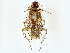  ( - BIOUG71214-D03)  @11 [ ] CreativeCommons - Attribution (2022) CBG Photography Group Centre for Biodiversity Genomics