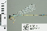  (Africallagma - RMNH.5007709)  @14 [ ] CreativeCommons - Attribution Non-Commercial Share-Alike (2013) Unspecified Naturalis Biodiversity Center