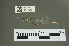  ( - RMNH.5011484)  @13 [ ] CreativeCommons - Attribution Non-Commercial Share-Alike (2016) Unspecified Naturalis, Biodiversity Centre