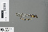  ( - RMNH.INS.228192)  @12 [ ] CreativeCommons - Attribution Non-Commercial Share-Alike (2013) Unspecified Naturalis Biodiversity Center