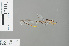  ( - RMNH.INS.500282)  @12 [ ] CreativeCommons - Attribution Non-Commercial Share-Alike (2013) Unspecified Naturalis Biodiversity Center