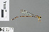  (Drepanosticta clavata - RMNH.INS.500516)  @13 [ ] CreativeCommons - Attribution Non-Commercial Share-Alike (2013) Unspecified Naturalis Biodiversity Center