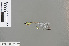  (Telosticta longigaster - RMNH.INS.501030)  @14 [ ] CreativeCommons - Attribution Non-Commercial Share-Alike (2013) Unspecified Naturalis Biodiversity Center