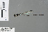  (Prodasineura hyperythra - RMNH.INS.501320)  @14 [ ] CreativeCommons - Attribution Non-Commercial Share-Alike (2013) Unspecified Naturalis Biodiversity Center