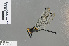  ( - RMNH.INS.501397)  @12 [ ] CreativeCommons - Attribution Non-Commercial Share-Alike (2013) Unspecified Naturalis Biodiversity Center