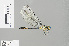  ( - RMNH.INS.501457)  @13 [ ] CreativeCommons - Attribution Non-Commercial Share-Alike (2013) Unspecified Naturalis Biodiversity Center