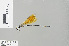  ( - RMNH.INS.501459)  @11 [ ] CreativeCommons - Attribution Non-Commercial Share-Alike (2013) Unspecified Naturalis Biodiversity Center