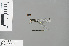  ( - RMNH.INS.502102)  @12 [ ] CreativeCommons - Attribution Non-Commercial Share-Alike (2013) Unspecified Naturalis Biodiversity Center