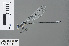  (Mesocnemis saralisa - RMNH.INS.502161)  @14 [ ] CreativeCommons - Attribution Non-Commercial Share-Alike (2013) Unspecified Naturalis Biodiversity Center