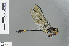  ( - RMNH.INS.502349)  @11 [ ] CreativeCommons - Attribution Non-Commercial Share-Alike (2013) Unspecified Naturalis Biodiversity Center