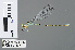  ( - RMNH.INS.502372)  @14 [ ] CreativeCommons - Attribution Non-Commercial Share-Alike (2013) Unspecified Naturalis Biodiversity Center