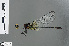  ( - RMNH.INS.502498)  @12 [ ] CreativeCommons - Attribution Non-Commercial Share-Alike (2013) Unspecified Naturalis Biodiversity Center