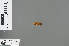  ( - RMNH.INS.502889)  @12 [ ] CreativeCommons - Attribution Non-Commercial Share-Alike (2013) Unspecified Naturalis Biodiversity Center