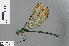  ( - RMNH.INS.502992)  @14 [ ] CreativeCommons - Attribution Non-Commercial Share-Alike (2013) Unspecified Naturalis Biodiversity Center