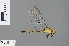  ( - RMNH.INS.502996)  @13 [ ] CreativeCommons - Attribution Non-Commercial Share-Alike (2013) Unspecified Naturalis Biodiversity Center