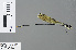  ( - RMNH.INS.502997)  @13 [ ] CreativeCommons - Attribution Non-Commercial Share-Alike (2013) Unspecified Naturalis Biodiversity Center