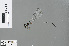  ( - RMNH.INS.503542)  @14 [ ] CreativeCommons - Attribution Non-Commercial Share-Alike (2013) Unspecified Naturalis Biodiversity Center