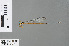  (Telosticta dupophila - RMNH.INS.503630)  @13 [ ] CreativeCommons - Attribution Non-Commercial Share-Alike (2013) Unspecified Naturalis Biodiversity Center