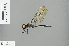  ( - RMNH.INS.504040)  @14 [ ] CreativeCommons - Attribution Non-Commercial Share-Alike (2013) Unspecified Naturalis Biodiversity Center