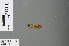  ( - RMNH.INS.504137)  @12 [ ] CreativeCommons - Attribution Non-Commercial Share-Alike (2013) Unspecified Naturalis Biodiversity Center