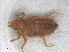  (Notogomphus dendrohyrax - RMNH.INS.504280)  @14 [ ] CreativeCommons - Attribution Non-Commercial Share-Alike (2013) Unspecified Naturalis Biodiversity Center