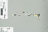  (Drepanosticta rufostigma - RMNH.INS.507818)  @14 [ ] CreativeCommons - Attribution Non-Commercial Share-Alike (2013) Unspecified Naturalis Biodiversity Center