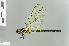  (Watanabeopetalia - RMNH.INS.508529)  @13 [ ] CreativeCommons - Attribution Non-Commercial Share-Alike (2013) Unspecified Naturalis Biodiversity Center