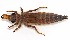  ( - WH-DCR-0025)  @11 [ ] CreativeCommons - Attribution Non-Commercial Share-Alike (2016) William Haber Instuituto Nacional de Biodiversidad