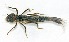  ( - WH-DCR-0045)  @11 [ ] CreativeCommons - Attribution Non-Commercial Share-Alike (2016) William Haber Instuituto Nacional de Biodiversidad