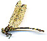  ( - WH-DCR-0055)  @11 [ ] CreativeCommons - Attribution Non-Commercial Share-Alike (2016) William Haber Instuituto Nacional de Biodiversidad