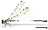  ( - WH-DCR-0071)  @11 [ ] CreativeCommons - Attribution Non-Commercial Share-Alike (2016) William Haber Instuituto Nacional de Biodiversidad
