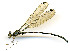  ( - WH-DCR-114)  @11 [ ] CreativeCommons  Attribution Non-Commercial (by-nc) (2019) William Haber University of Connecticut