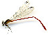  ( - WH-DCR-121)  @11 [ ] CreativeCommons  Attribution Non-Commercial (by-nc) (2019) William Haber University of Connecticut