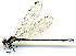  ( - WH-DCR-131)  @11 [ ] CreativeCommons  Attribution Non-Commercial (by-nc) (2019) William Haber University of Connecticut