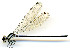  ( - WH-DCR-134)  @11 [ ] CreativeCommons  Attribution Non-Commercial (by-nc) (2019) William Haber University of Connecticut