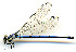  ( - WH-DCR-143)  @11 [ ] CreativeCommons  Attribution Non-Commercial (by-nc) (2019) William Haber University of Connecticut