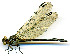  ( - WH-DCR-164)  @11 [ ] CreativeCommons  Attribution Non-Commercial (by-nc) (2019) William Haber University of Connecticut