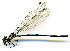  ( - WH-DCR-165)  @11 [ ] CreativeCommons  Attribution Non-Commercial (by-nc) (2019) William Haber University of Connecticut