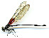  ( - WH-DCR-166)  @11 [ ] CreativeCommons  Attribution Non-Commercial (by-nc) (2019) William Haber University of Connecticut
