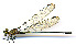  ( - WH-DCR-187)  @11 [ ] CreativeCommons  Attribution Non-Commercial (by-nc) (2019) William Haber University of Connecticut