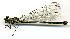  ( - WH-DCR-191)  @11 [ ] CreativeCommons  Attribution Non-Commercial (by-nc) (2019) William Haber University of Connecticut