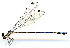  ( - WH-DCR-313)  @11 [ ] Attribution-NonCommercial-ShareAlike CC BY-NC-SA (2024) William Haber University of Connecticut